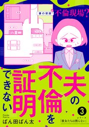 夫の不倫を証明できない3