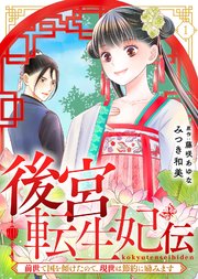 後宮転生妃伝～前世で国を傾けたので、現世は節約に励みます～