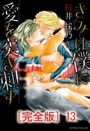 きみは僕に愛を突き刺す【完全版】 13