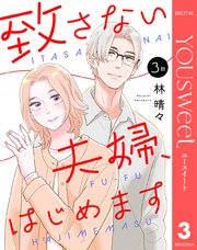 【単話売】致さない夫婦、はじめます 3