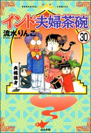 インド夫婦茶碗（分冊版） 【第30話】