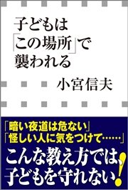 子どもは「この場所」で襲われる（小学館新書）