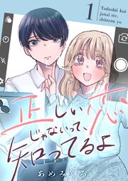 正しい恋じゃないって、知ってるよ【単行本版】