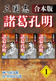 三国志 諸葛孔明