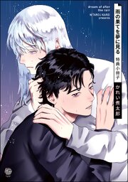 雨の果てを夢に見る 特典小冊子
