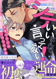 シていいなんて言ってない！～絶倫モデルのとろける誘惑