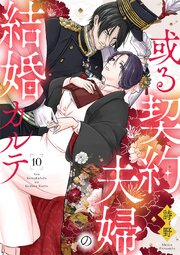 或る契約夫婦の結婚カルテ