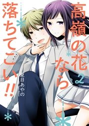 高嶺の花なら落ちてこい！！ 2巻