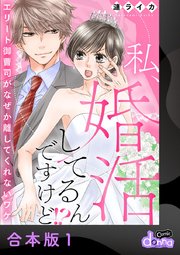 私、婚活してるんですけど!?～エリート御曹司がなぜか離してくれないワケ～