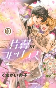片翼のラビリンス 10