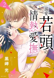 止めないで・溺愛若頭の情熱愛撫 2
