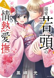 止めないで・溺愛若頭の情熱愛撫 3
