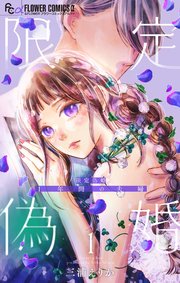 限定偽婚　～１年間の夫婦～