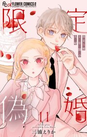 限定偽婚　～１年間の夫婦～