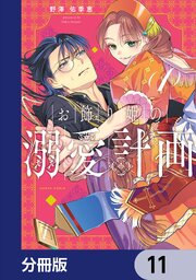 お飾り姫の溺愛計画【分冊版】　11