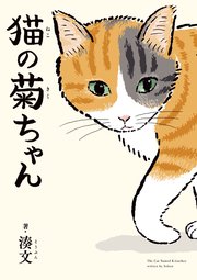 猫の菊ちゃん