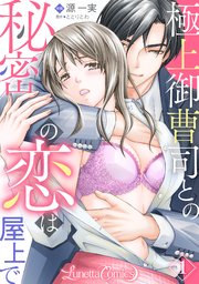 極上御曹司との秘密の恋は屋上で