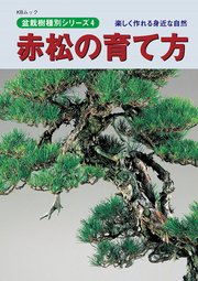 赤松の育て方