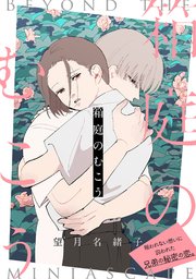 箱庭のむこう