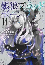 銀狼ブラッドボーン 14