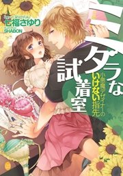 ミダラな試着室