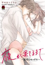 夜が果てるまで～宝石とセックス～ 8