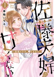 佐藤夫婦は甘くない～新婚ですが、シてません～