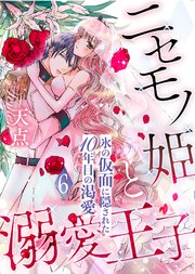 ニセモノ姫と溺愛王子～氷の仮面に隠された10年目の渇愛～【分冊版】６