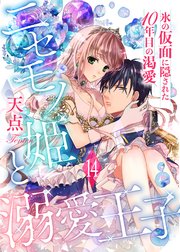 ニセモノ姫と溺愛王子～氷の仮面に隠された10年目の渇愛～【分冊版】14