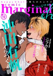 comic marginal &h 12巻