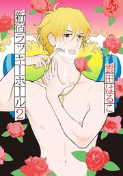 新宿ラッキーホール（2）【電子限定特典付】