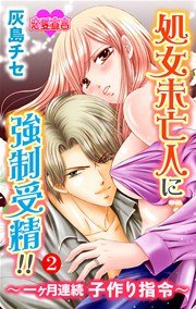 処女未亡人に強制受精!!～一ヶ月連続子作り指令～ 2巻