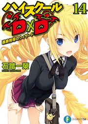 ハイスクールD×D14　進路指導のウィザード