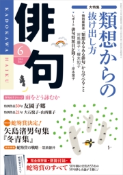 俳句　２８年６月号