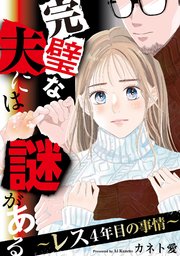 完璧な夫には謎がある～レス4年目の事情～（3）