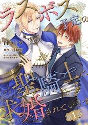 ラスボス予定の聖騎士に求婚されています 表紙