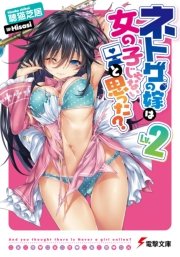 ネトゲの嫁は女の子じゃないと思った？ Lv.2