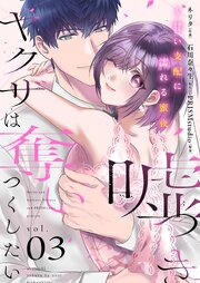 嘘つきヤクザは奪いつくしたい～甘い支配に濡れる蜜夜【描き下ろしおまけ付き特装版】 3巻