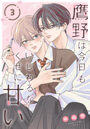 鷹野は今日もいじわるなくせに甘い［ばら売り］