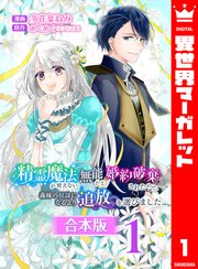 精霊魔法が使えない無能だと婚約破棄されたので、義妹の奴隷になるより追放を選びました 表紙