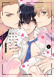 陰キャな僕が双子に愛される理由 表紙