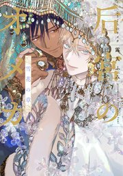 后宮のオメガ 雪花の章【電子限定おまけ付き】【シーモア限定特典付き】