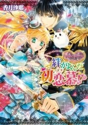 ダブル・コントラクト2 絆がよんだ初恋慕！？
