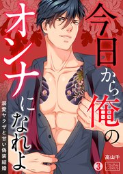 今日から俺のオンナになれよ～溺愛ヤクザと甘い偽装結婚～ 3巻