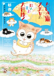 ちいき猫メチャのほんわか大冒険！