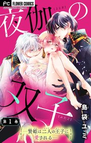 夜伽の双子―贄姫は二人の王子に愛される―【マイクロ】 表紙