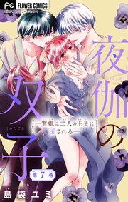夜伽の双子―贄姫は二人の王子に愛される―【マイクロ】 7