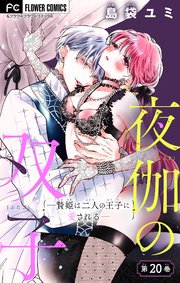 夜伽の双子―贄姫は二人の王子に愛される―【マイクロ】 20