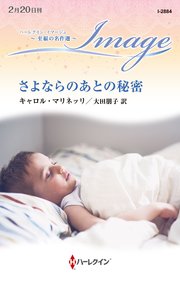 さよならのあとの秘密