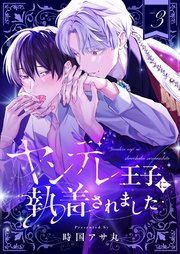 ヤンデレ王子に執着されました 3巻